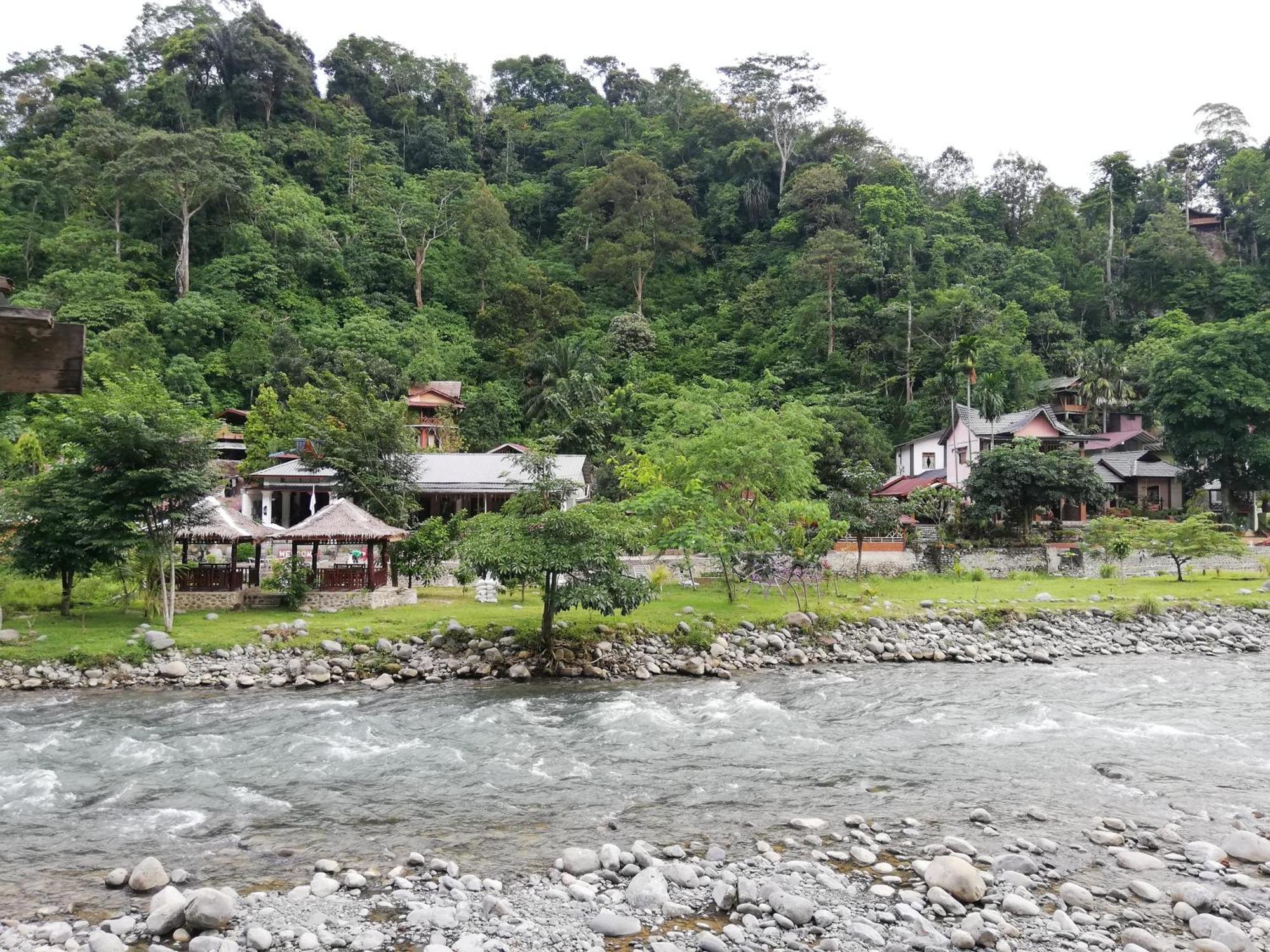 Umiyuki Jungle Tour Only Treking With As Hotel Bukit Lawang Exterior foto